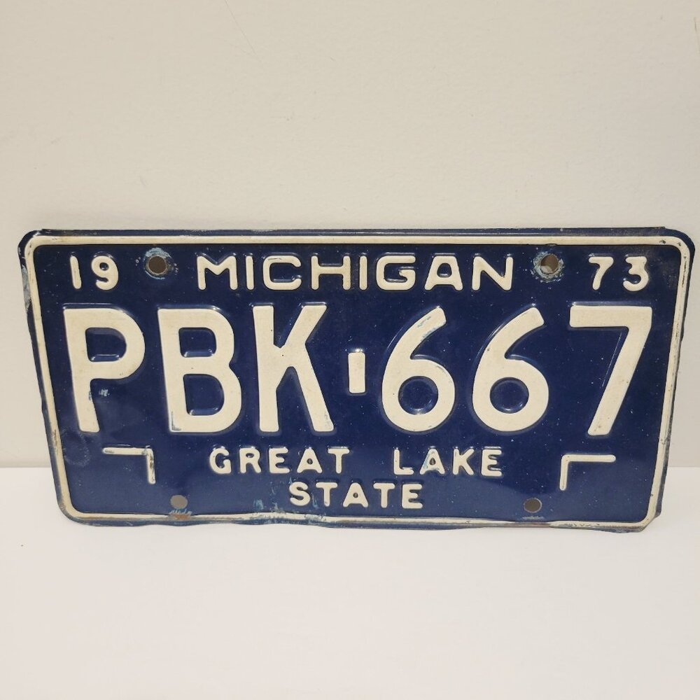 Vtg 1973 Michigan Blue And White License Plate PBK-667